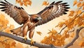 Red-tailed Hawk raptor flight landing Royalty Free Stock Photo