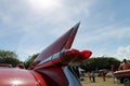 Red tailfin Americana