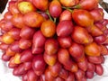 Red tamarillo