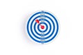 Red target with red arrow and words on goal on white background, business concept