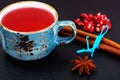 Red Tea with beautiful cup, decorated with cinnamon and pomegran Royalty Free Stock Photo
