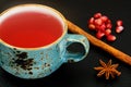 Red Tea with beautiful cup, decorated with cinnamon and pomegran Royalty Free Stock Photo