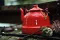 Red Tea Kettle Royalty Free Stock Photo