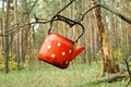 Red tea-pot Royalty Free Stock Photo