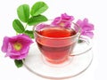 Red tea with wild rose Royalty Free Stock Photo