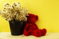 Red teddy bear and dried flower on yellow background Royalty Free Stock Photo