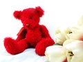 Red teddy bear and statice flower bouquet