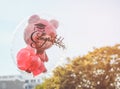 Red teddy bear in transparent balloon with congratulation text for graduate