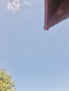 Temple`s eaves corner against tree, under the blue sky. Royalty Free Stock Photo