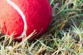 Red tennis ball on dew drops wet green grass track play ground Royalty Free Stock Photo