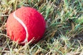 Red tennis ball on dew drops wet green grass track play ground Royalty Free Stock Photo