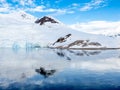 Camping in red tents on snow covered slope of Neko Harbour, Arctowski Peninsula, Antarctica