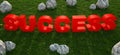 Red text success on green grass Royalty Free Stock Photo