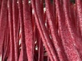 Red textile washing strips inside an automatic car wash system during the cleaning process Royalty Free Stock Photo