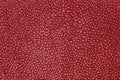 Red texture leather shagreen Royalty Free Stock Photo