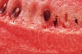 Red texture of sweet watermelon close up background Royalty Free Stock Photo