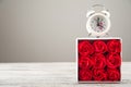 Red textured roses and alarm clock close-up and copy space. Women`s day, mother`s day, red roses and a clock on a white wooden bac Royalty Free Stock Photo