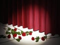 Red Theatre Curtain on stage with red roses