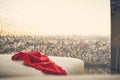 Red thong on a sofa in front of window Royalty Free Stock Photo