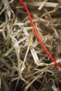 Red thread needle in the Hay vertical Royalty Free Stock Photo