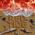 Red Tide Ocean Crisis Royalty Free Stock Photo