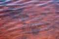 Red tide Royalty Free Stock Photo