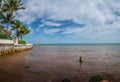 Red tide in summer season. Harmful algal bloom phenomenon in Key West, Florida