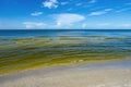 Red Tide Royalty Free Stock Photo