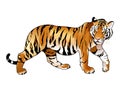 Red tiger. Royalty Free Stock Photo