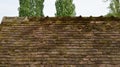 Red tiles roof close up of the house Royalty Free Stock Photo