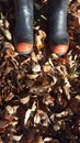 Red-tipped gumboots on autumn leaves