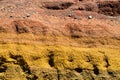 Red to green shaded soil - beautiful geology background