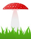 Red toadstool grow in grass - illustration