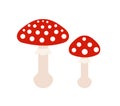 Red toadstool mushrooms icons cartoon drawing isolated on white background