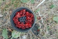 Red tobacco in hookah shisha bowl. Hookah`s head