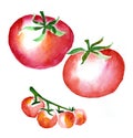 Red tomato