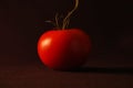 Red tomato