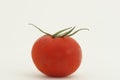 Red tomato against white background Royalty Free Stock Photo