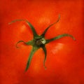 Red tomato background Royalty Free Stock Photo