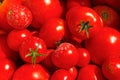 Red tomato background Royalty Free Stock Photo