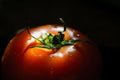 Red tomato on black background Royalty Free Stock Photo