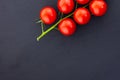 Red tomato branch green contrasting design culinary black background base copy space Royalty Free Stock Photo