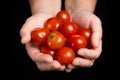 Red tomato cherry in woman hands on black background