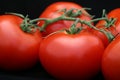 Red Tomato Closeup on Black Royalty Free Stock Photo