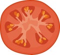 Red tomato cut in half inside cross section Royalty Free Stock Photo