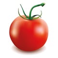 Red tomato