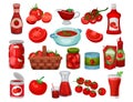 Red Tomato Food with Raw Vegetable and Canned Product Vector Set Royalty Free Stock Photo