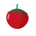 Red tomato fruit, tomato cartoon vector illustration in flat design style