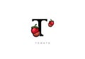 Red TOMATO FRUIT Vector, Great combination of Tomato Fruit symbol with letter T