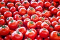 Red tomato fruits, top view, background and texture Royalty Free Stock Photo